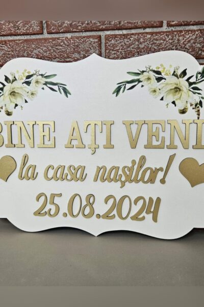 Placuta Bine ati venit la nasi 09