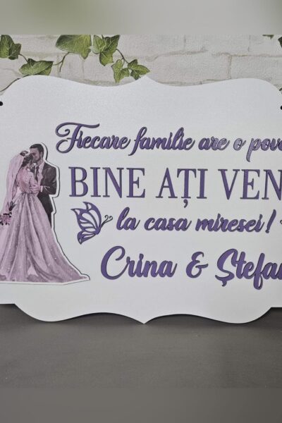Placuta Bine ati venit 45