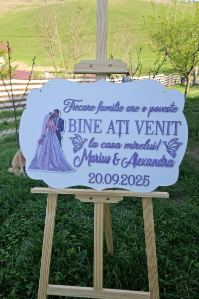 Placuta Bine ati venit 52